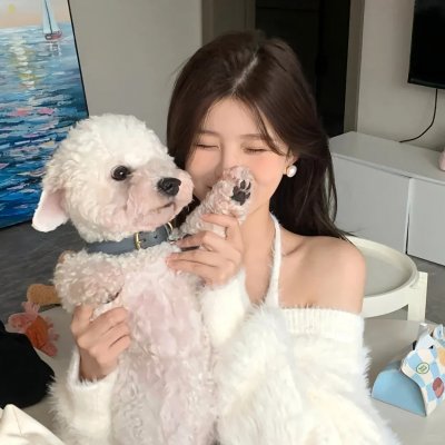 公仆2
